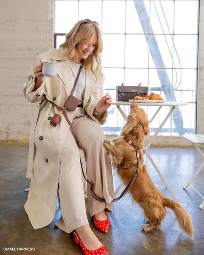 4-In-1 Convertible Hands Free Cloud Dog Leash, 8.5-Ft Long, 5/8” Wide or 3/4” Wide