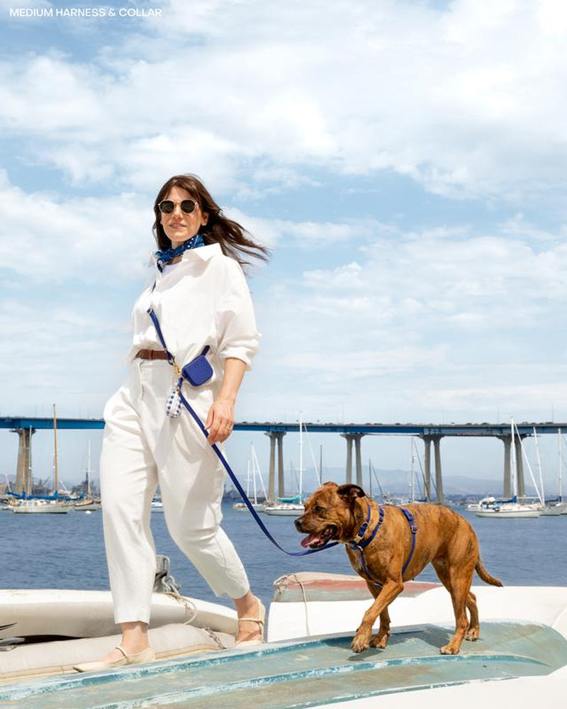 4-In-1 Convertible Hands Free Cloud Dog Leash, 8.5-Ft Long, 5/8” Wide or 3/4” Wide