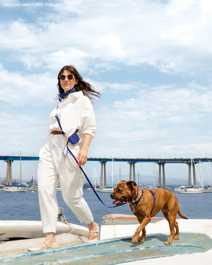 4-In-1 Convertible Hands Free Cloud Dog Leash, 8.5-Ft Long, 5/8” Wide or 3/4” Wide