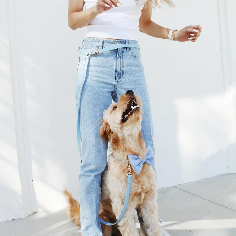 4-In-1 Convertible Hands Free Cloud Dog Leash, 8.5-Ft Long, 5/8” Wide or 3/4” Wide