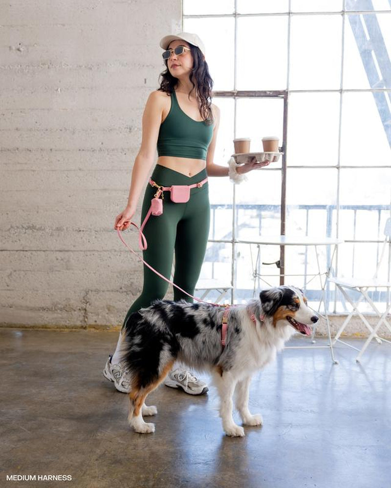 4-In-1 Convertible Hands Free Cloud Dog Leash, 8.5-Ft Long, 5/8” Wide or 3/4” Wide