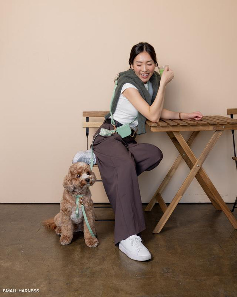 4-In-1 Convertible Hands Free Cloud Dog Leash, 8.5-Ft Long, 5/8” Wide or 3/4” Wide