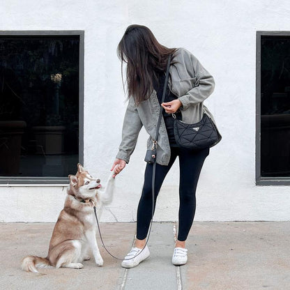 4-In-1 Convertible Hands Free Cloud Dog Leash, 8.5-Ft Long, 5/8” Wide or 3/4” Wide